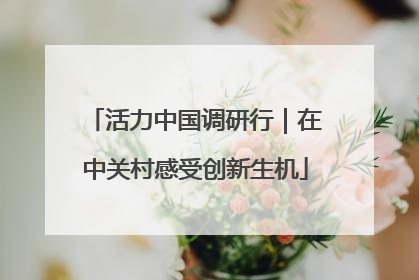 活力中国调研行｜在中关村感受创新生机