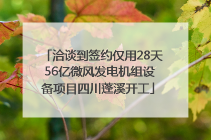 洽谈到签约仅用28天 56亿微风发电机组设备项目四川蓬溪开工