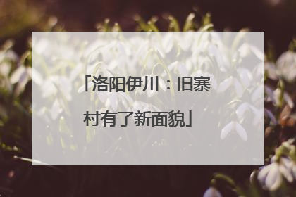 洛阳伊川:旧寨村有了新面貌