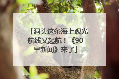 洞头这条海上观光航线又起航！《90早新闻》来了