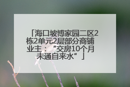 海口坡博家园二区2栋2单元2层部分商铺业主：“交房10个月未通自来水”
