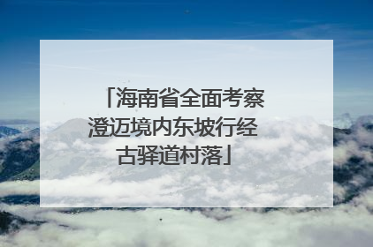 海南省全面考察澄迈境内东坡行经古驿道村落