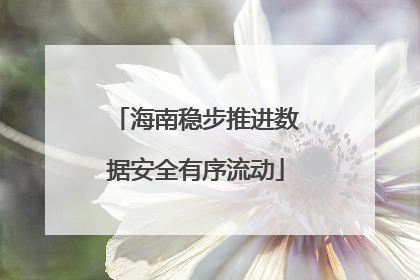 海南稳步推进数据安全有序流动