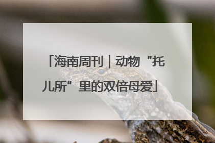 海南周刊｜动物“托儿所”里的双倍母爱