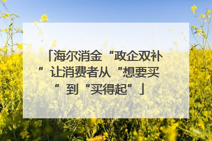 海尔消金“政企双补”让消费者从“想要买”到“买得起”