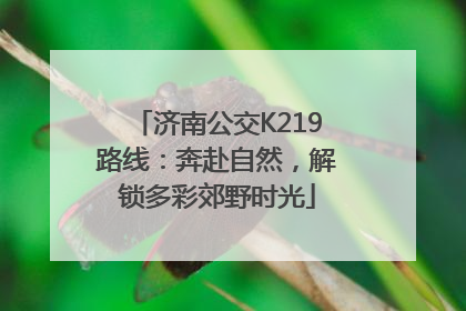 济南公交K219路线：奔赴自然，解锁多彩郊野时光