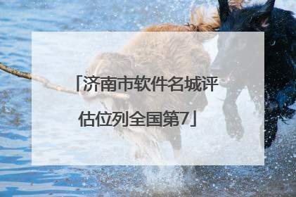 济南市软件名城评估位列全国第7