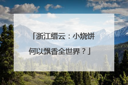 浙江缙云：小烧饼何以飘香全世界？