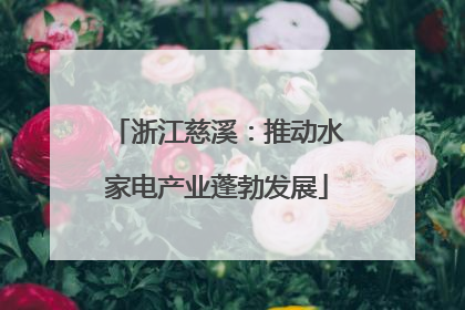浙江慈溪：推动水家电产业蓬勃发展