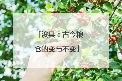 浚县：古今粮仓的变与不变
