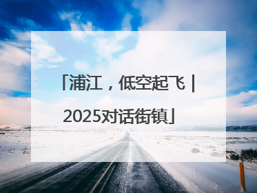 浦江，低空起飞｜2025对话街镇
