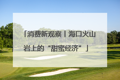 消费新观察丨海口火山岩上的“甜蜜经济”