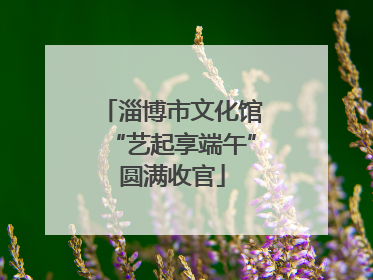 淄博市文化馆“艺起享端午”圆满收官