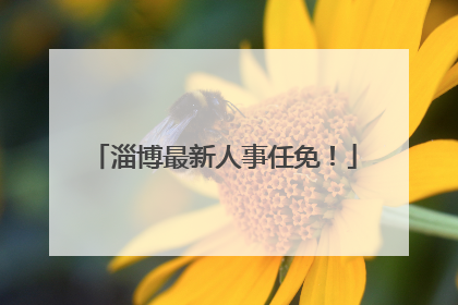 淄博最新人事任免！