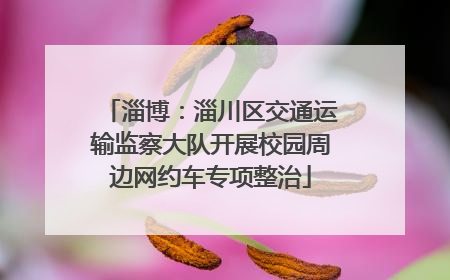 淄博：淄川区交通运输监察大队开展校园周边网约车专项整治