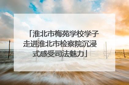 淮北市梅苑学校学子走进淮北市检察院沉浸式感受司法魅力