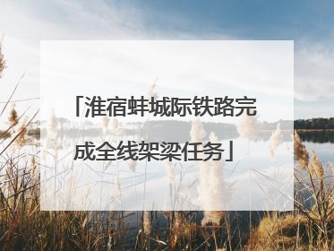 淮宿蚌城际铁路完成全线架梁任务