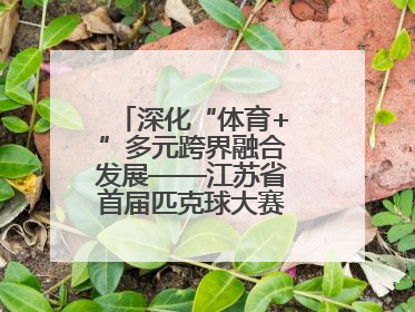 深化“体育+”多元跨界融合发展——江苏省首届匹克球大赛在无锡开赛
