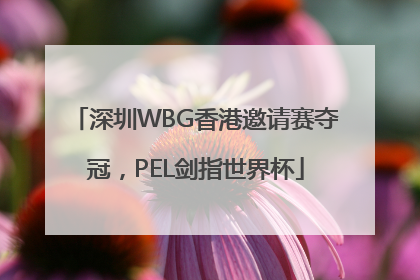 深圳WBG香港邀请赛夺冠，PEL剑指世界杯