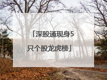 深股通现身5只个股龙虎榜