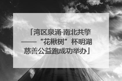 湾区泉涌·南北共擎——“花楸树”杯明湖慈善公益跑成功举办