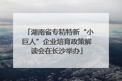湖南省专精特新“小巨人”企业培育政策解读会在长沙举办