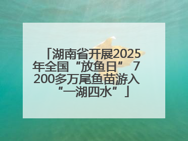 湖南省开展2025年全国“放鱼日” 7200多万尾鱼苗游入“一湖四水”