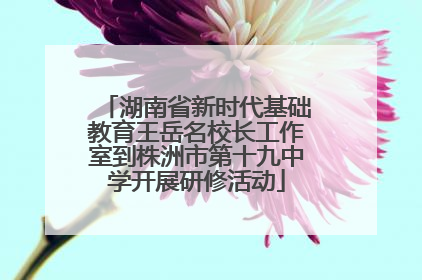 湖南省新时代基础教育王岳名校长工作室到株洲市第十九中学开展研修活动