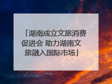 湖南成立文旅消费促进会 助力湖南文旅融入国际市场
