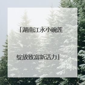 湖南江永小碗莲绽放致富新活力