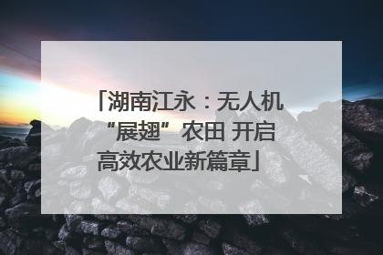 湖南江永：无人机“展翅”农田 开启高效农业新篇章