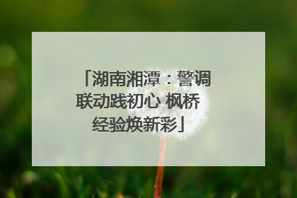 湖南湘潭：警调联动践初心 枫桥经验焕新彩