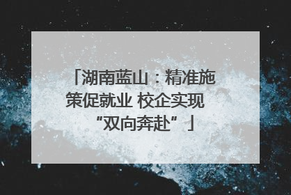 湖南蓝山：精准施策促就业 校企实现“双向奔赴”
