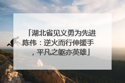 湖北省见义勇为先进陈伟：逆火而行伸援手，平凡之躯亦英雄