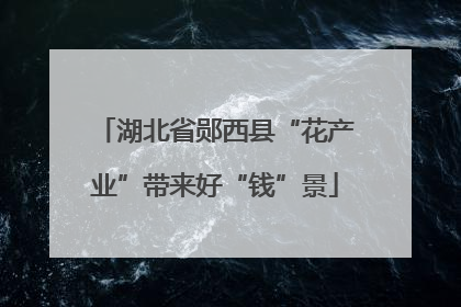 湖北省郧西县“花产业”带来好“钱”景