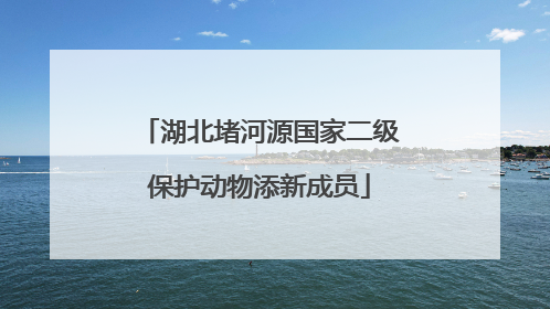 湖北堵河源国家二级保护动物添新成员