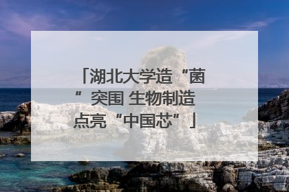 湖北大学造“菌”突围 生物制造点亮“中国芯”