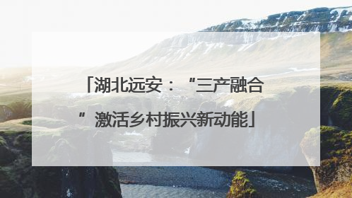 湖北远安：“三产融合”激活乡村振兴新动能