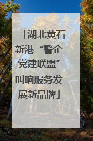 湖北黄石新港“警企党建联盟”叫响服务发展新品牌