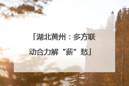湖北黄州：多方联动合力解“薪”愁