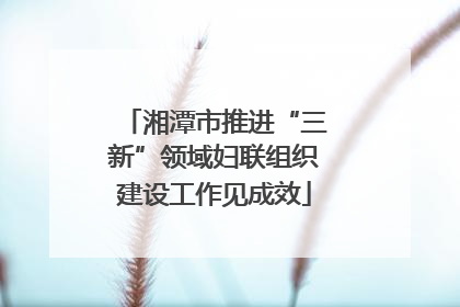 湘潭市推进“三新”领域妇联组织建设工作见成效