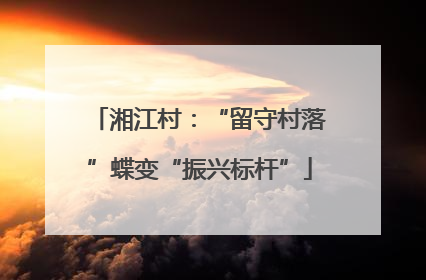 湘江村：“留守村落”蝶变“振兴标杆”
