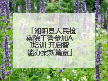 湘阴县人民检察院干警参加AI培训 开启智能办案新篇章