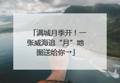 满城月季开！一张威海追“月”地图送给你→