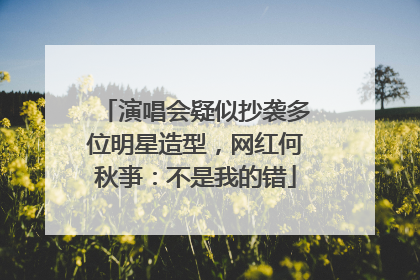 演唱会疑似抄袭多位明星造型，网红何秋亊：不是我的错