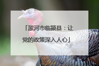 漯河市临颍县：让党的政策深入人心
