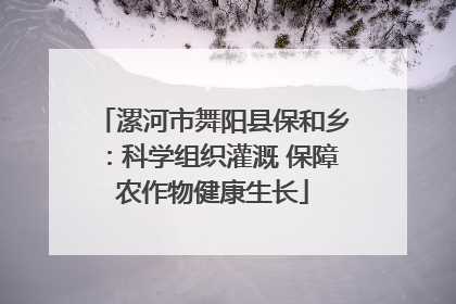 漯河市舞阳县保和乡：科学组织灌溉 保障农作物健康生长