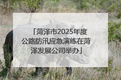 菏泽市2025年度公路防汛应急演练在菏泽发展公司举办