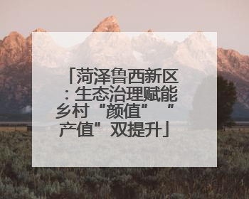 菏泽鲁西新区：生态治理赋能乡村“颜值”“产值”双提升