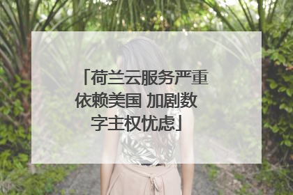 荷兰云服务严重依赖美国 加剧数字主权忧虑